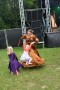 Thumbs/tn_Keltfest 2016 Zondag 019.jpg
